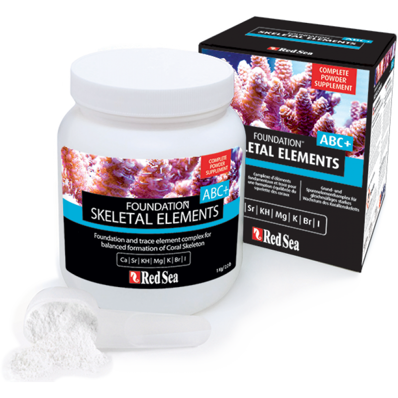 red sea foundation ABC 800x800