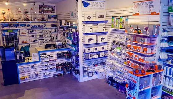 reef aquairum supplies