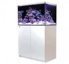 Aquariums/Tanks