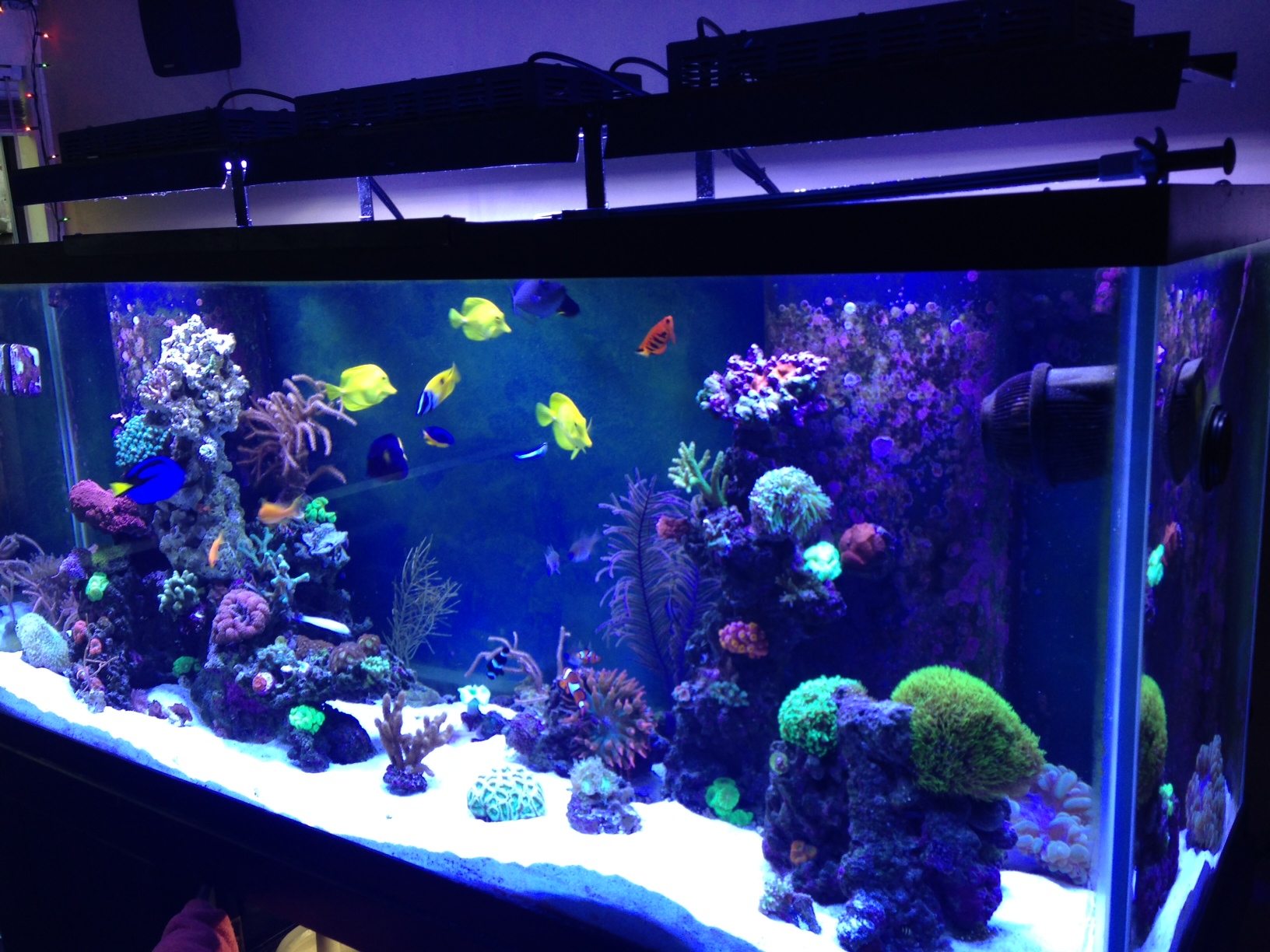 where to place wavemaker in saltwater aquarium