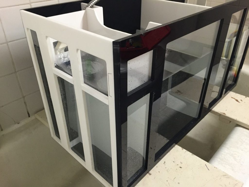 Frag Box Corals