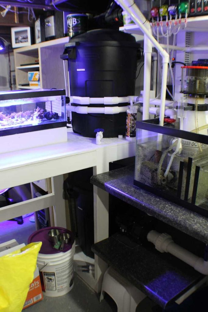 Frag Box Corals