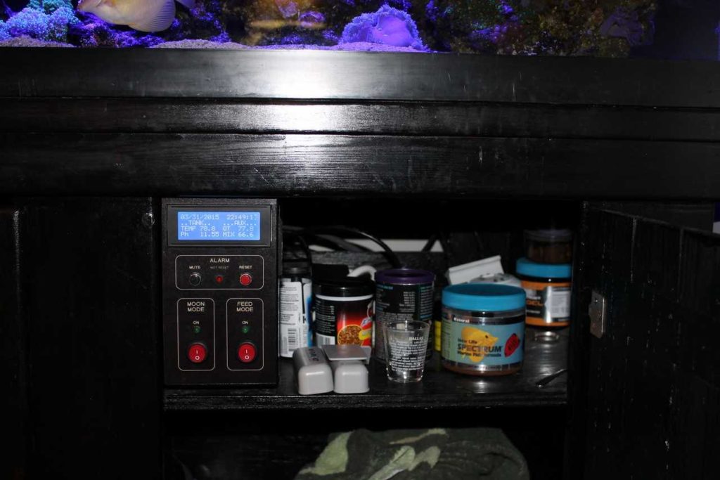 Frag Box Corals