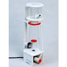 Frag Box Corals