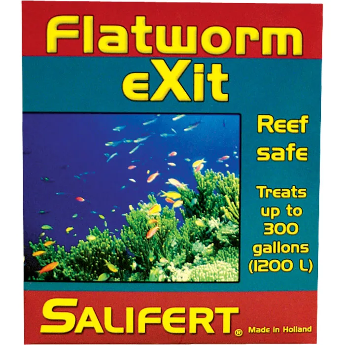 Frag Box Corals