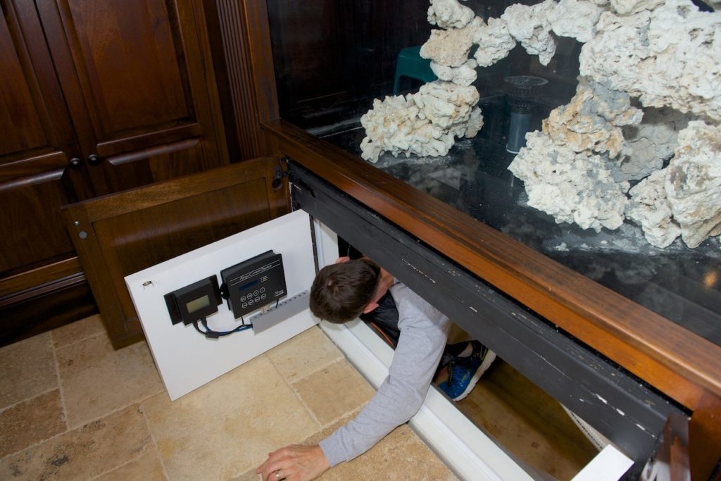 Frag Box Corals