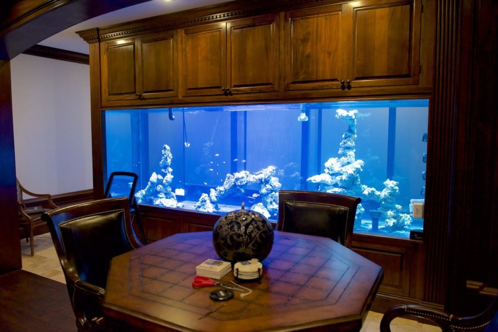 Frag Box Corals