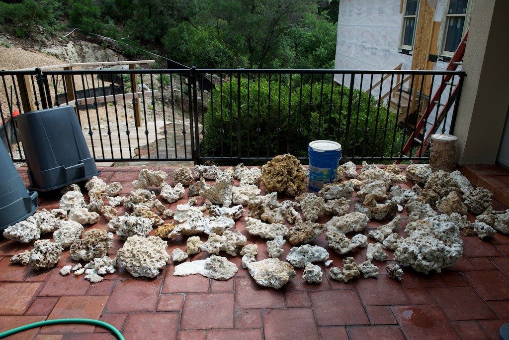 Frag Box Corals