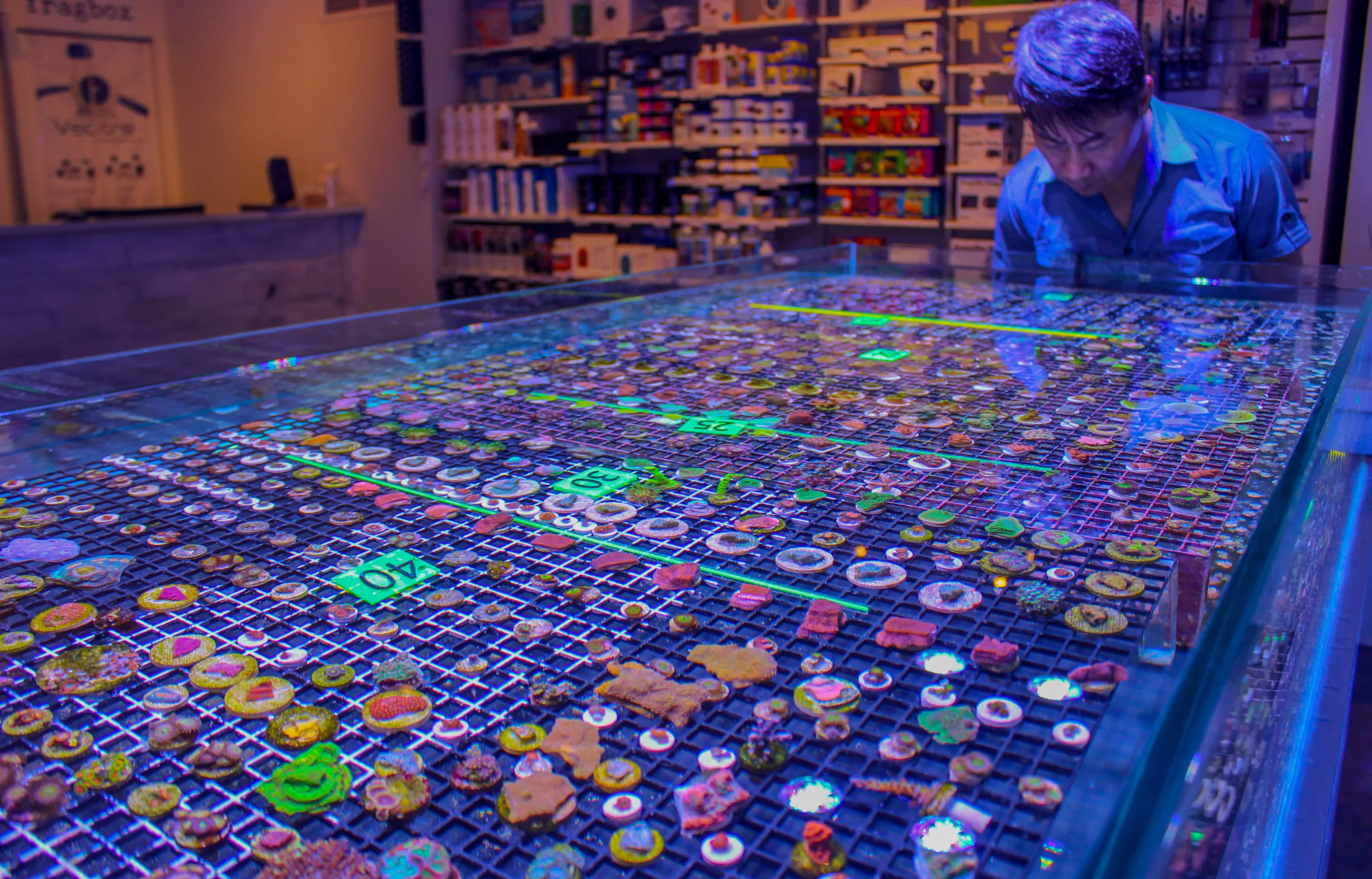 Saltwater coral store