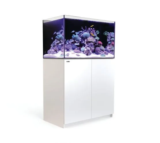Frag Box Corals