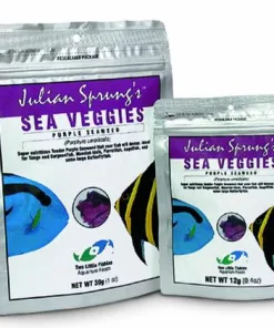 Julian Spring's Sea Veggies- Purple Seaweed