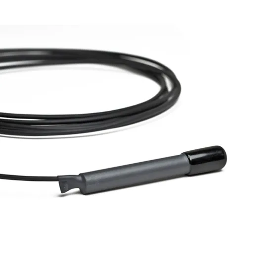 fs Neptune Temperature Probe