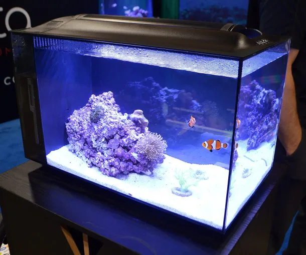 Fluval Evo 13.5 Canada