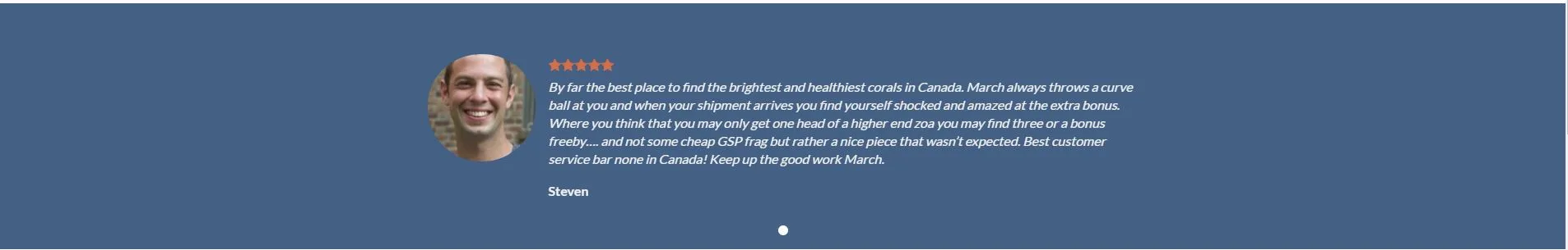 best salt water corals