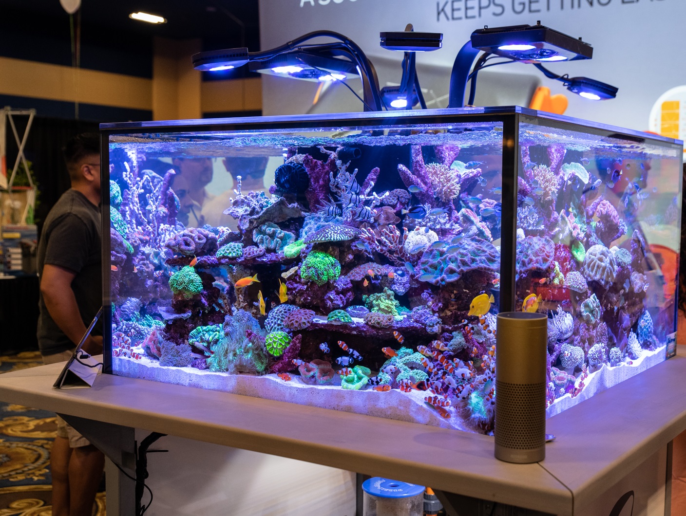 neptunesystemsaquarium1of2 Frag Box Corals