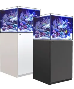Red Sea Reefer 200 G3+ XL (42 Gal) Incl. ReefATO