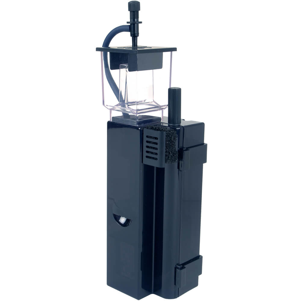 Fluval Evo 13.5 Gallon Reef Tank Upgrades Fragbox Corals