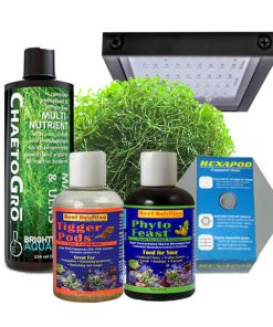 Ultimate Fuge / Copepod Starting Package / Nova Refugium Light With Gooseneck