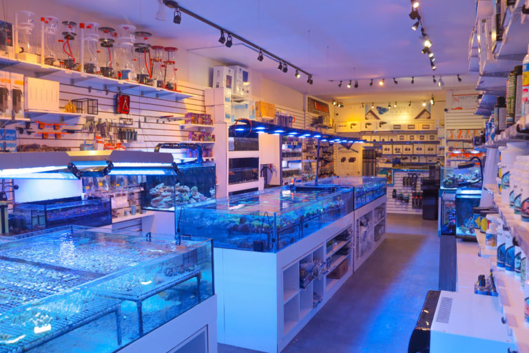Image showcasing Toronto's Best Aquarium Store and Saltwater Corals