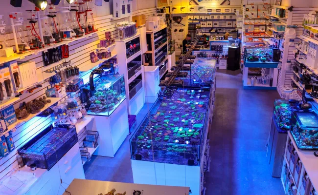 aquarium store