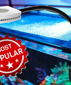 Fluval Evo Ultimate Light Upgrade Kit