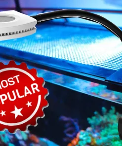 Fluval Evo Ultimate Light Upgrade Kit