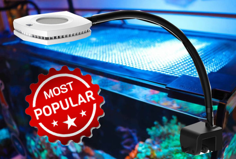 Fluval Evo Ultimate Light Upgrade Kit Frag Box Corals