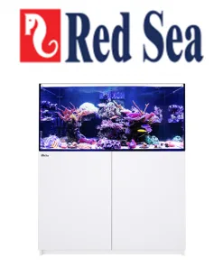 Red Sea Reefer