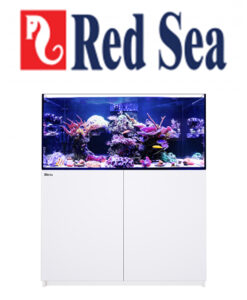 Red Sea Reefer