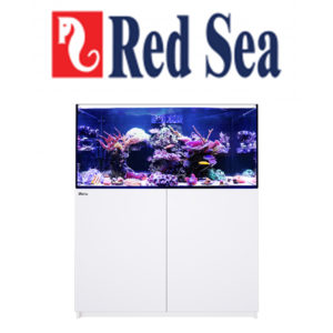 Red Sea Reefer