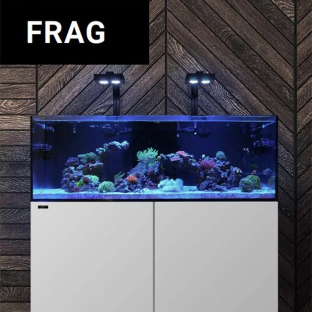 Frag Box Corals