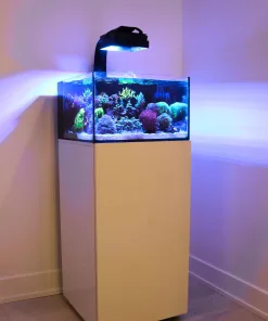 Reef Casa Laguna 24 Gallon All In One Aquarium