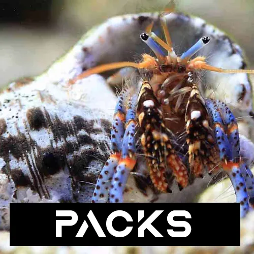 clean up crew packages