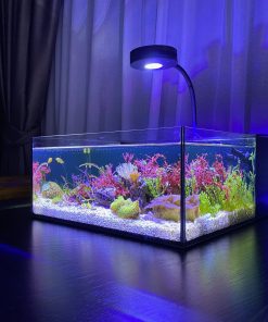6 Gallon Aquarium Kit