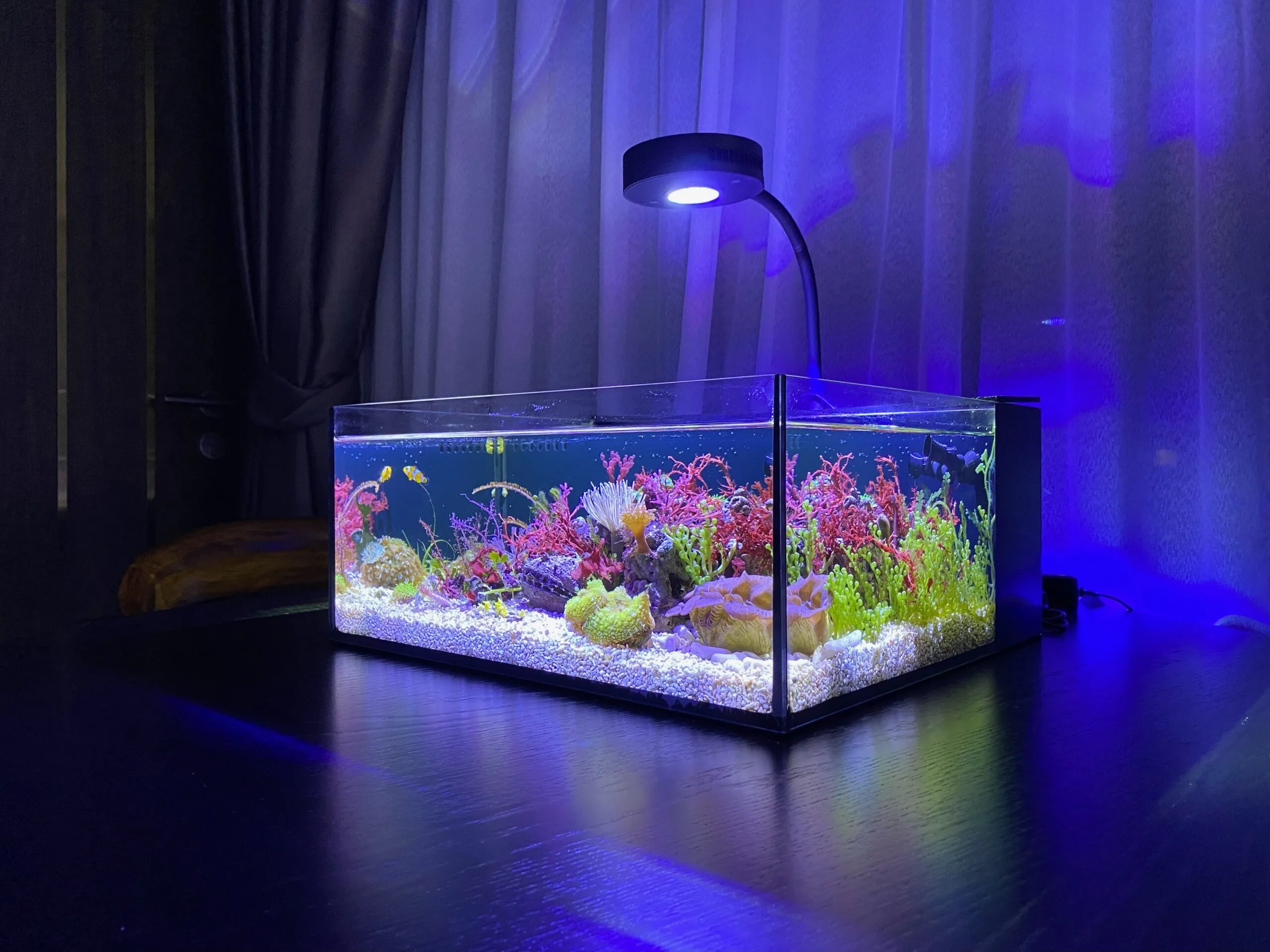all in one pico aquarium