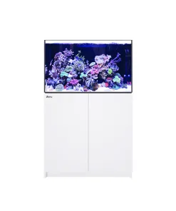 Red Sea Reefer G2+ 250 (55 Gallons / With Sump)  White (used 1 year) pick up only + lid + equipment see details