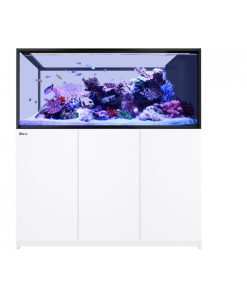 Red Sea Reefer Peninsula G2+ S-700