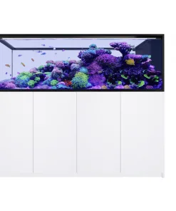 Red Sea Reefer Peninsula G3+ S-950