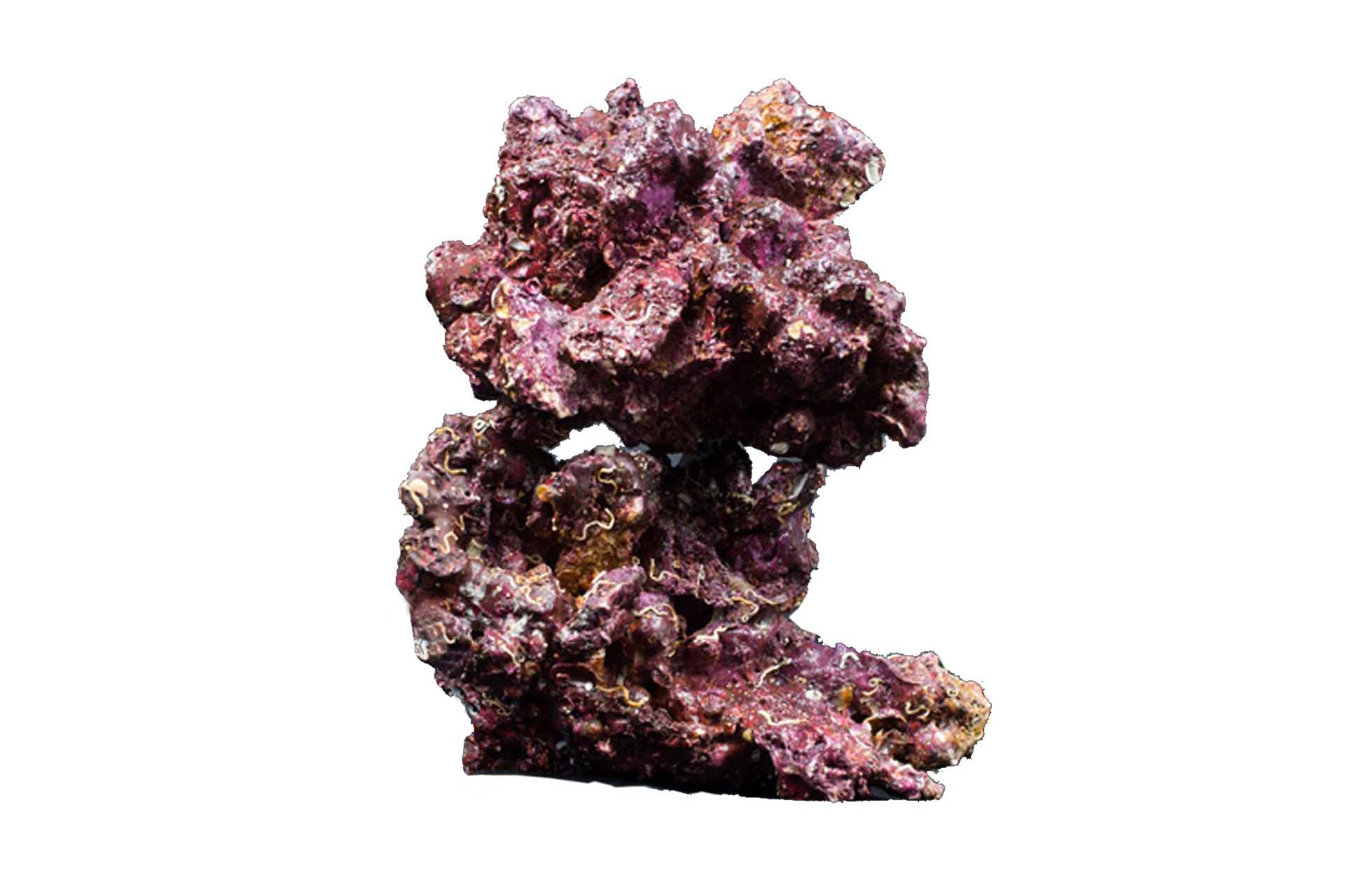 Real Reef Rock Purple (per lb)