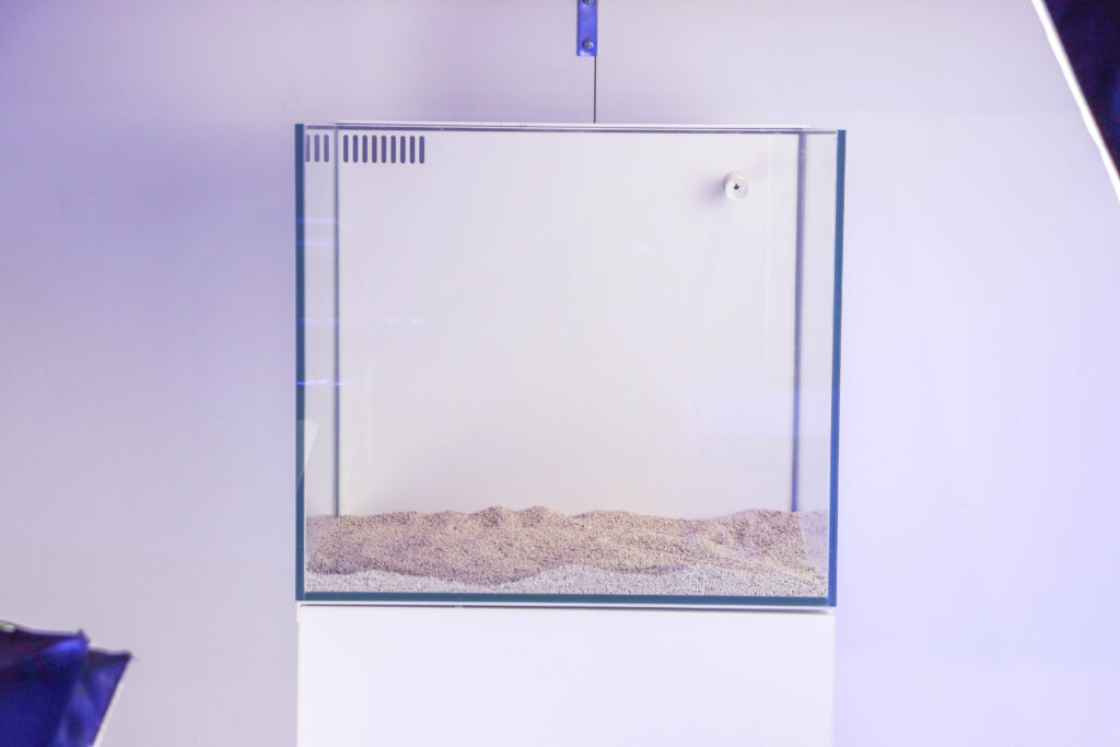 Frag Box Corals