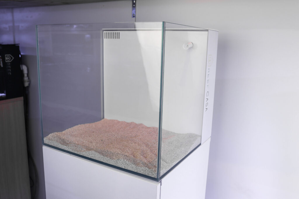 Frag Box Corals