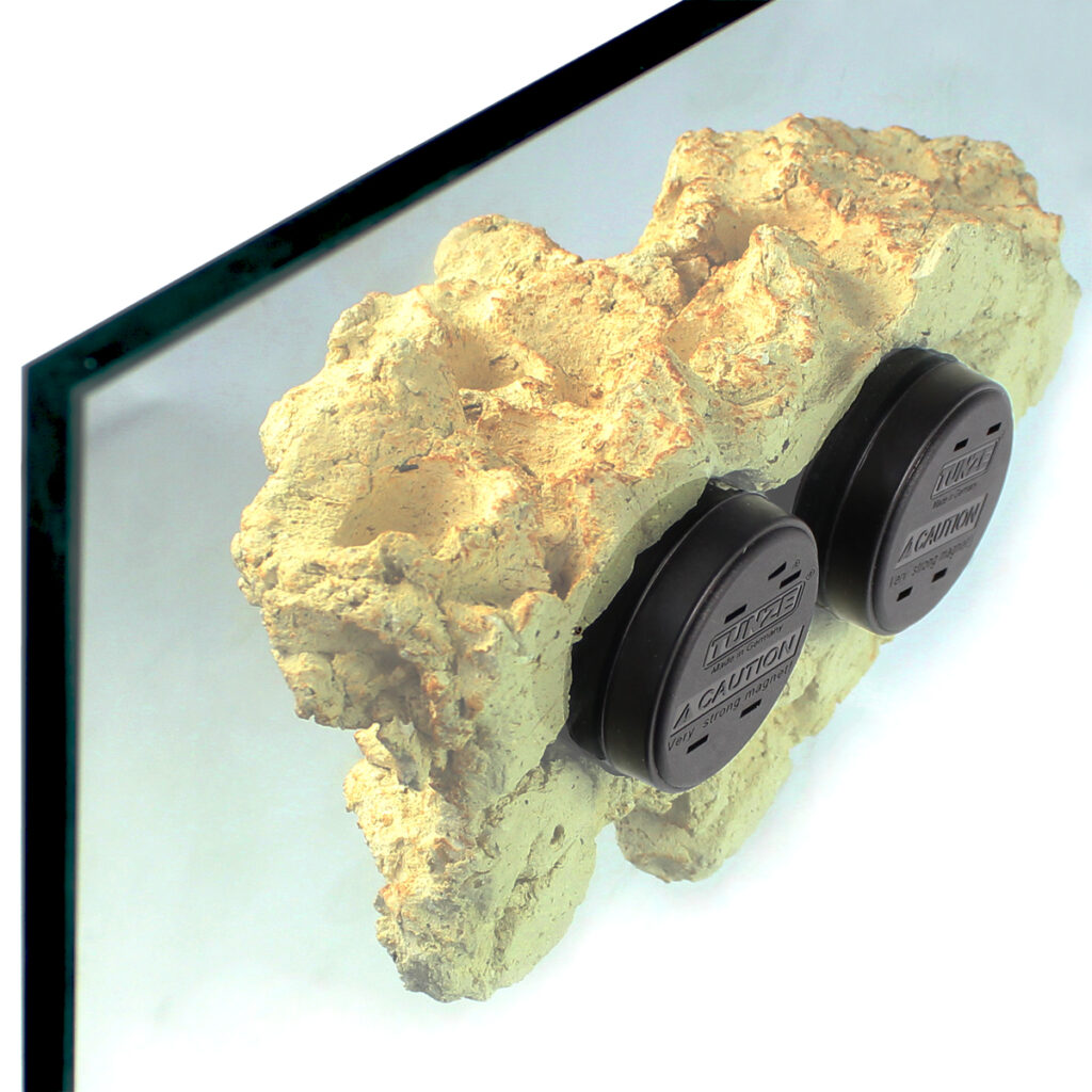 Frag Box Corals