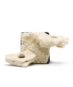 Handmade Magnetic 2 Hole Floating Frag Rack