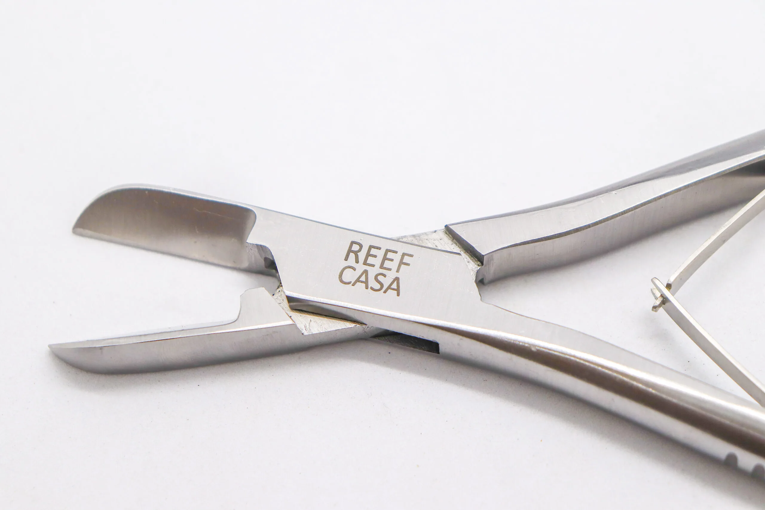 stainless steel coral cutters