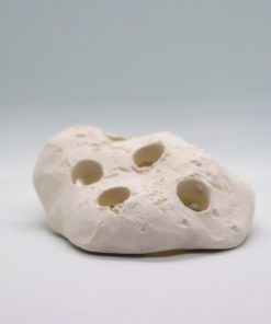 Ceramic Coral Dome (7-10 Holes)