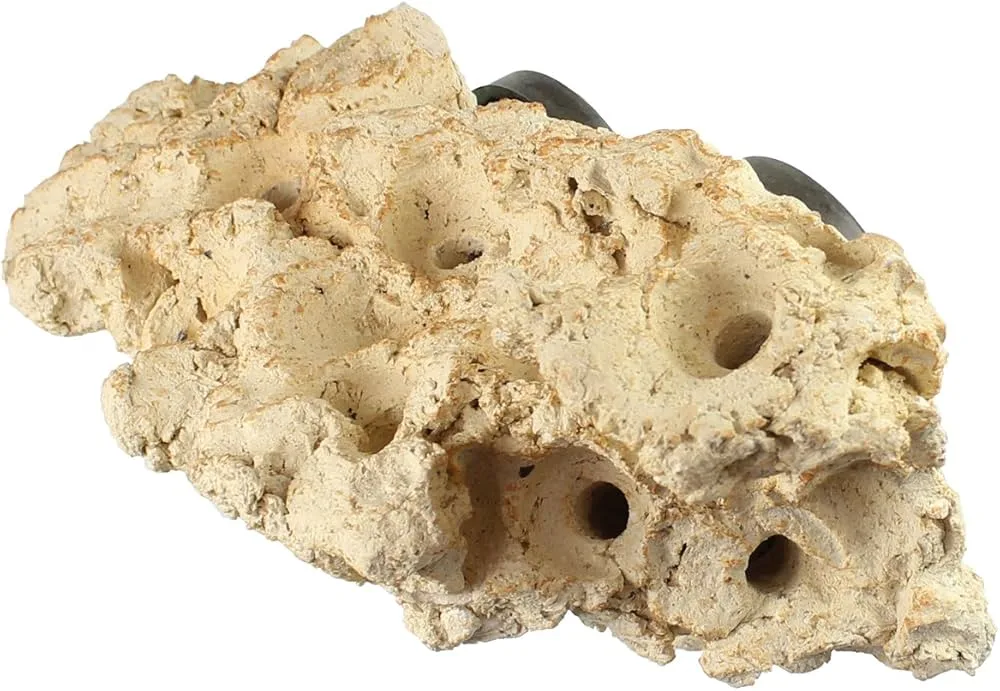 Frag Box Corals