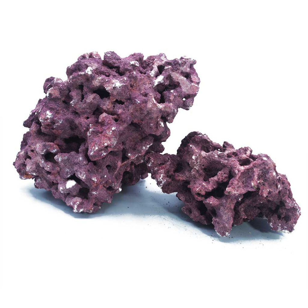 Frag Box Corals
