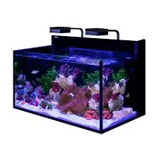 Frag Box Corals