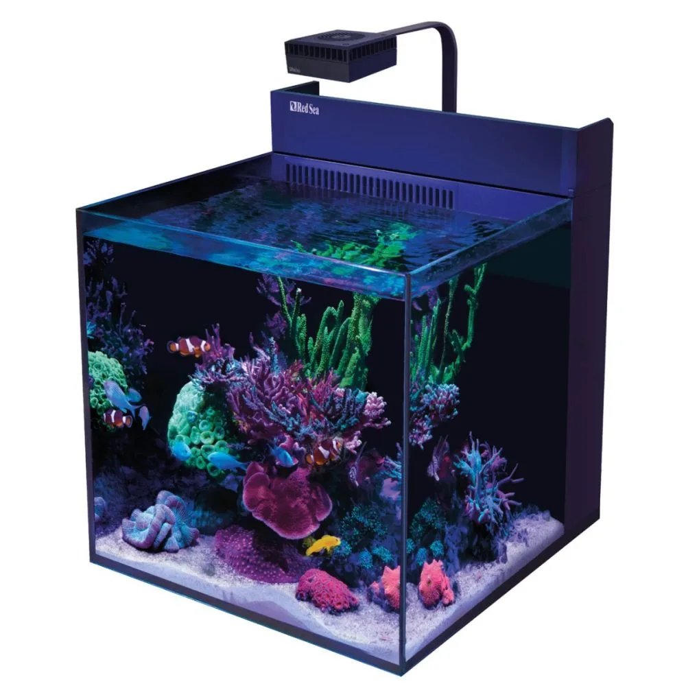 Frag Box Corals