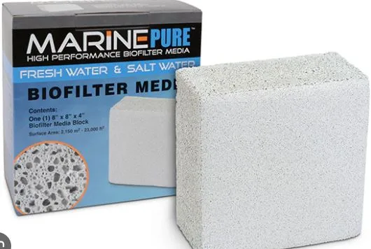 Frag Box Corals